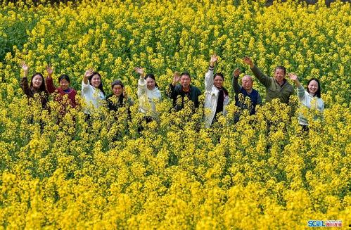 阳光照进小山村,探寻乡村振兴的美丽画卷