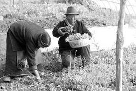 穷妈的致富经,揭秘致富之路的五大秘诀