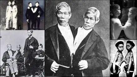 刘氏兄弟,携手共进，谱写家族辉煌篇章